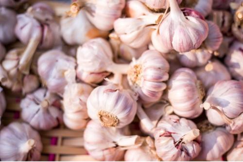 Dehydrated garlic - powder flakes granules minced G1 G2 G3 G4 G5
