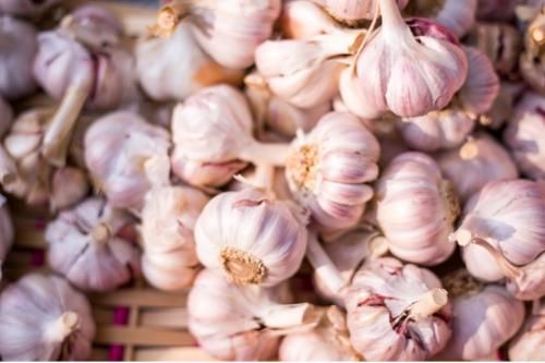 Dehydrated garlic - powder flakes granules minced G1 G2 G3 G4 G5