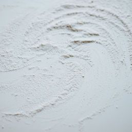 Spray dried powders