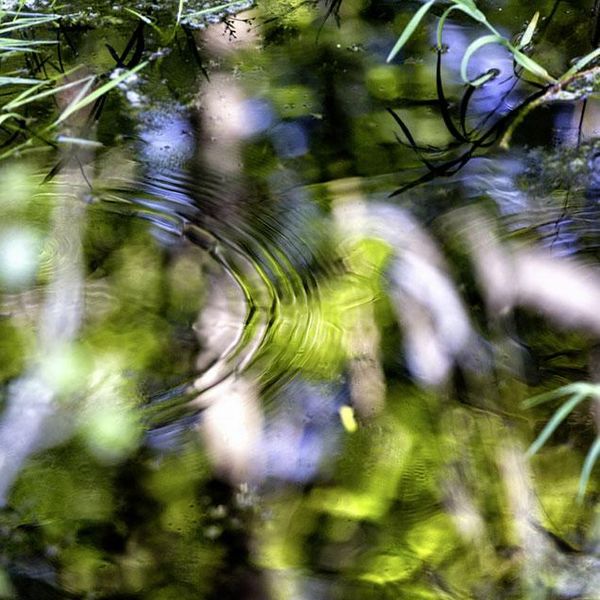 Mineralwasser mit Mineralien aus Schweizer Wasserquellen
