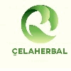 Company icon