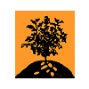 Company icon