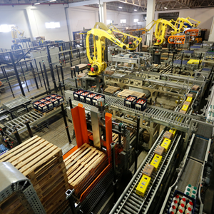 Robotic Layer Palletizing System