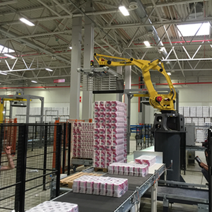 Tissue Paper & Paper Towel Palletizing System