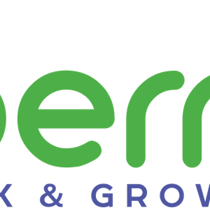 iBerry Logo