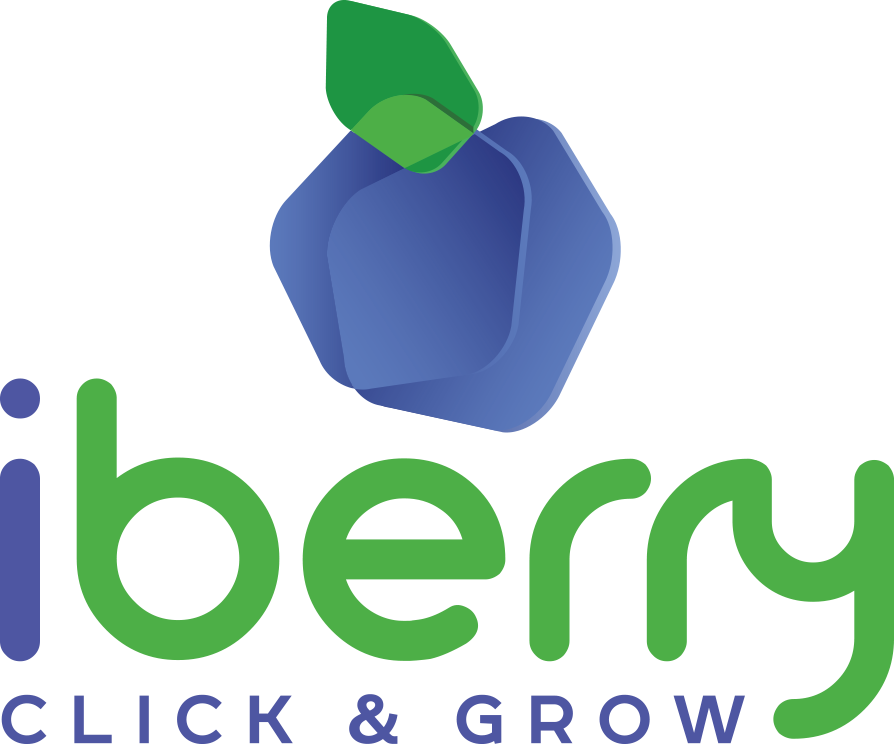 Fresh blueberries