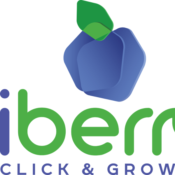Fresh blueberries