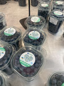 Blueberries