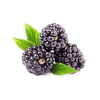 Blackberry