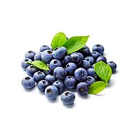 Wild Blueberry