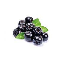 Chokeberry (Aronia)