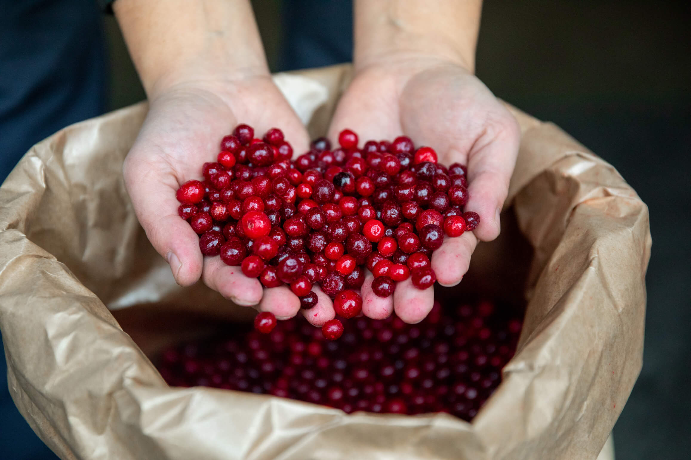 Cranberries