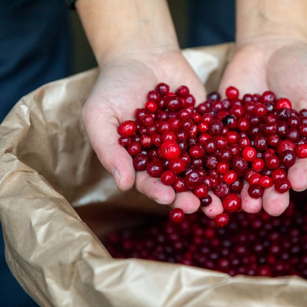 Cranberries