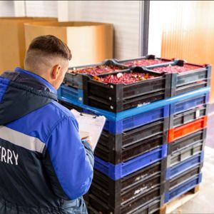 lingonberries, blueberries, cloudberries, and cranberries