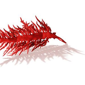 Carrageenan