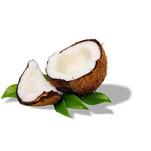 Fermentation-Derived Cellulose (FDC)