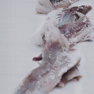 fish fillets