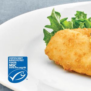 breaded fish fillets