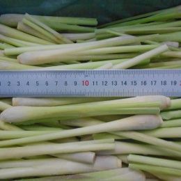 IQF Lemongrass whole