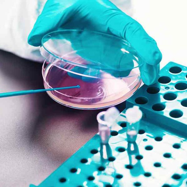 Oxygenated Solvents