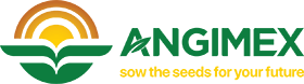 Company icon