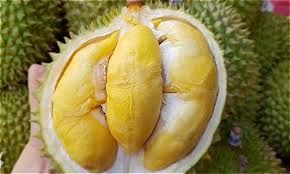 Fresh Durian