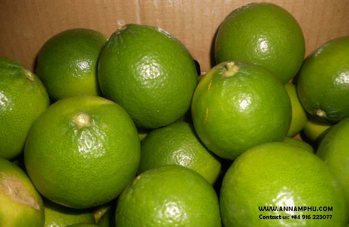 lemon