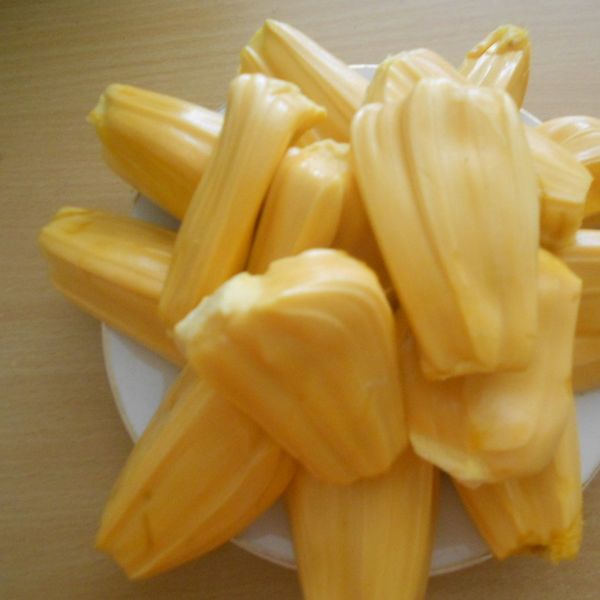 Fresh jack fruit, Frozen Jack Fruit, Dried Jack Fruit