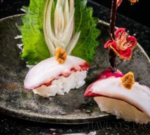 Boiled Big Octopus Slice