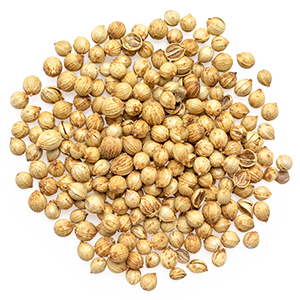 Coriander