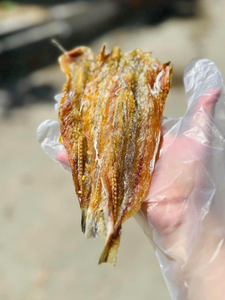 Khô cá mối