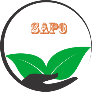 Company icon