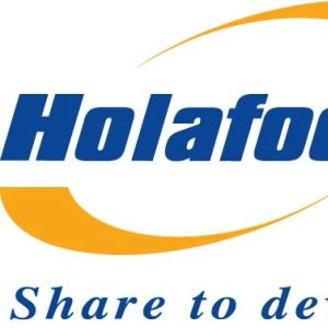 Company icon