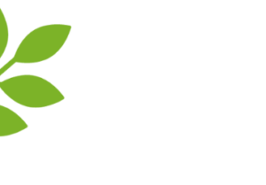 Company icon