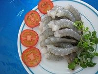 Raw PD Tail – On Vannamei