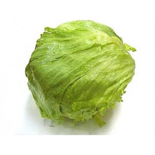 Lettuce