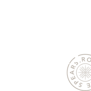 Company icon
