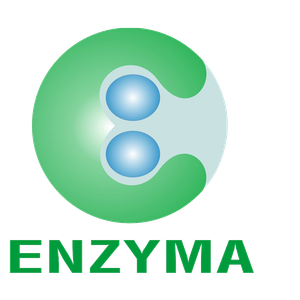 ENZYMA