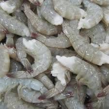 Vannamei shrimp