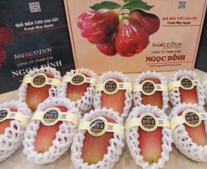 QUẢ MẬN ĐÓNG HỘP