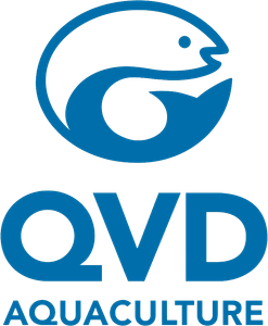 Company icon