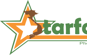 Company icon