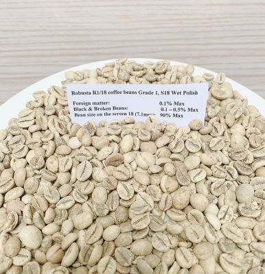 Robusta coffee bean