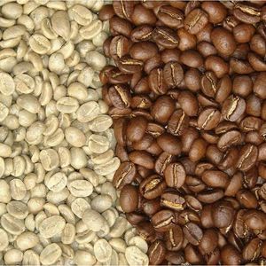 Robusta coffee bean