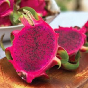 Red dragon fruit