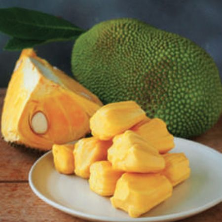Thai Changai jackfruit