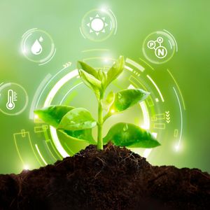 Gases for Processing Agricultural Products