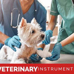 Veterinary Instruments
