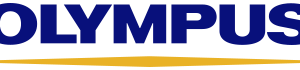 Company icon