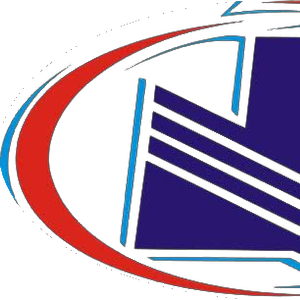 Company icon